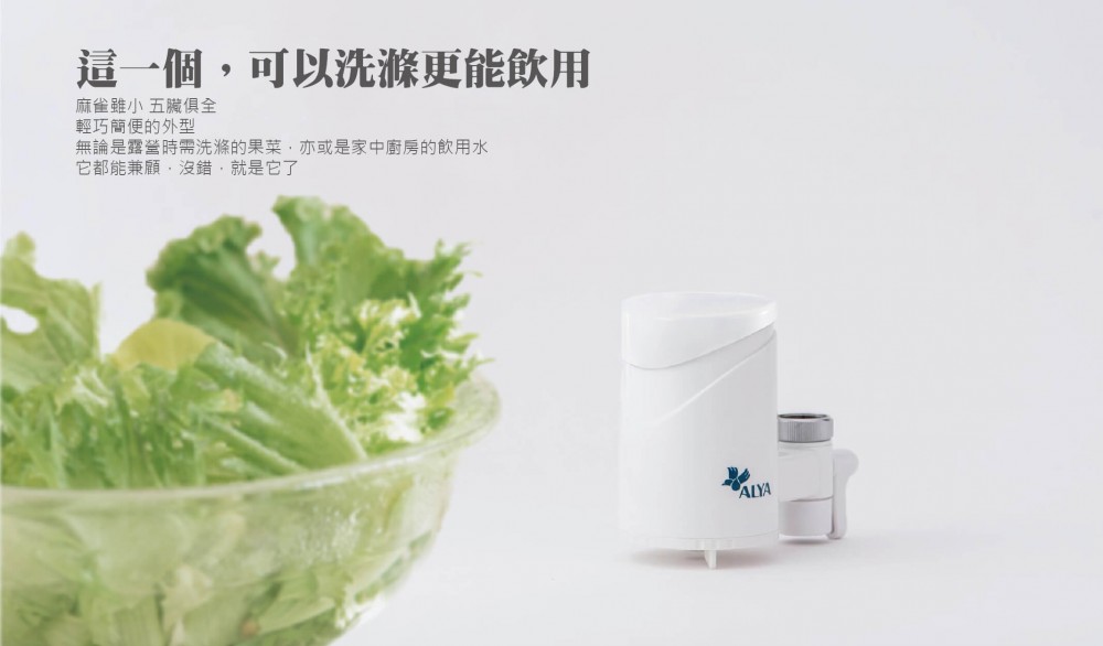 龍頭式五段過濾蔬果洗滌淨水器